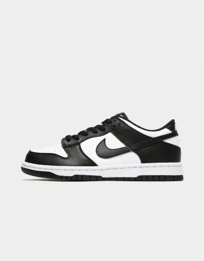 Nike  Dunk  Pro teenagery