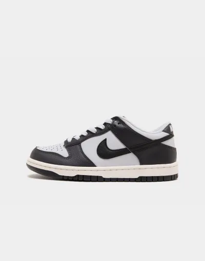 Nike Dunk Low Pro teenagery