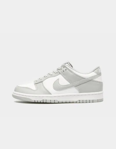 Nike  Dunk Low  Pro teenagery