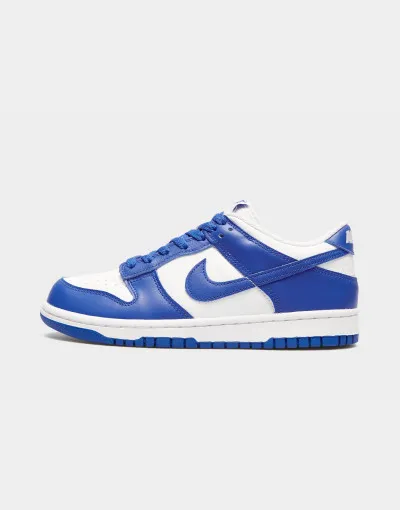 Nike Dunk Low Pro teenagery