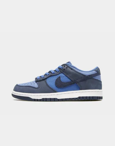 Nike Dunk Low SE GS Pro teenagery